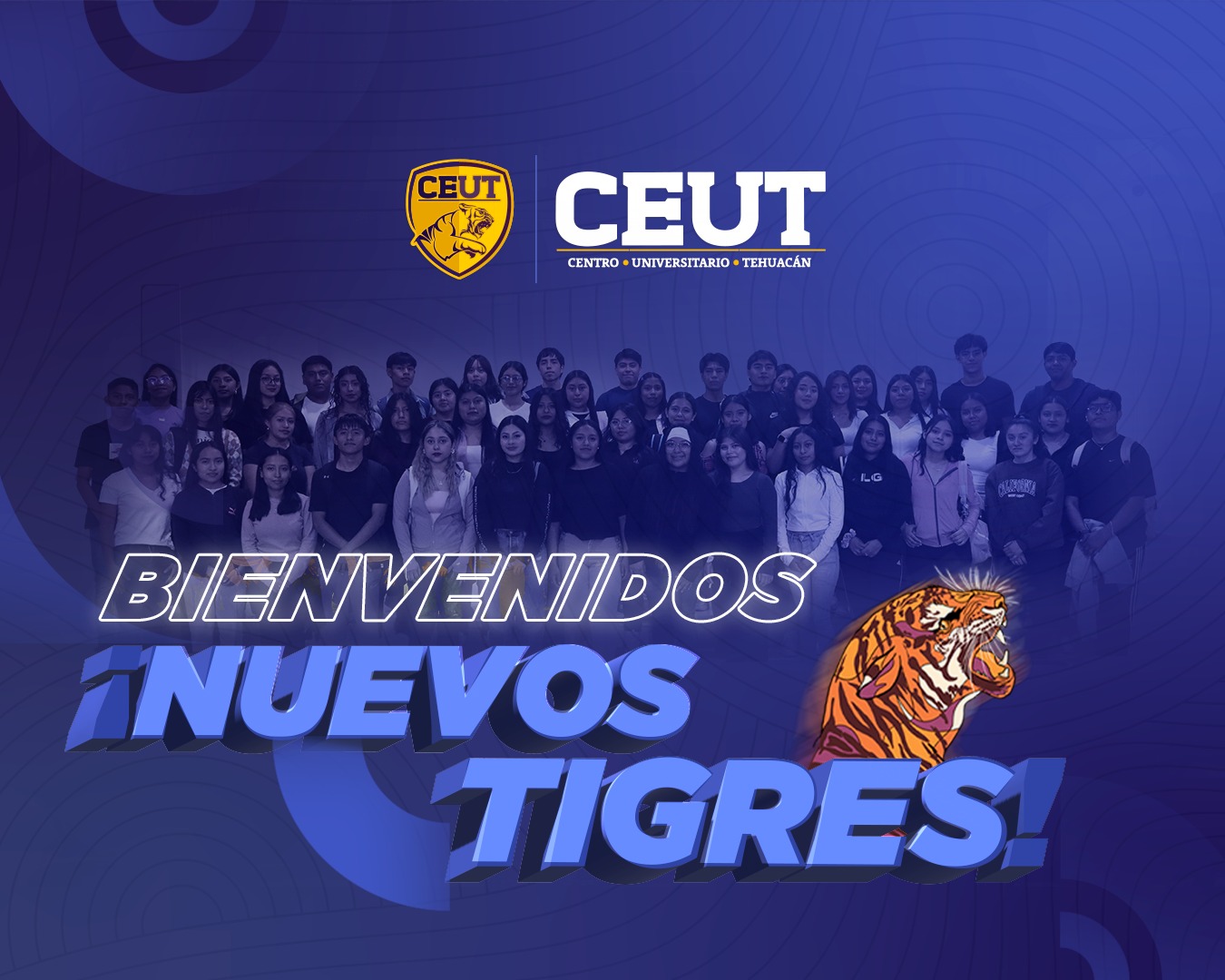 Bienvenido Nuevos Tigres